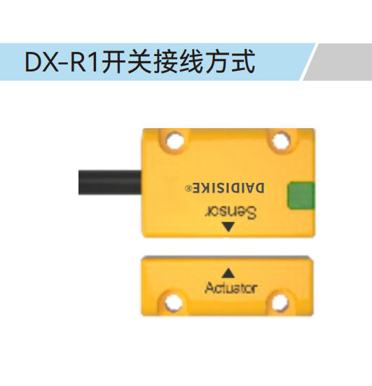 DX-R1 实拍图 5